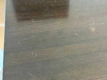 Dog hair?
