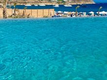from the pool