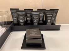 The bath amenities are still in small, individual bottles here.