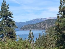 Lake in the pines
