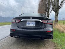 Rear Looks 