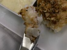 I really did have a good piece of fish