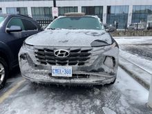 The morning after the blizzard 