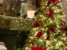 One of the MOHK CHRISTmas trees provides cheer and welcoming guests to a cold HK 