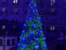 Gaylord Palms - lit tree in lobby