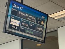 That's our flight...