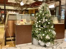 Tree by Cake Shop and Cafe Causette 
