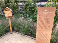 Insects also have their own hotel