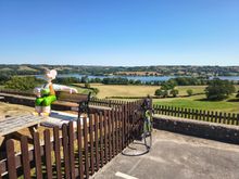 Gromit Unleashed public art trail, Blagdon Lake, UK (July)
