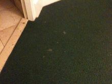 stain far