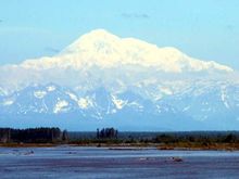 Denali from the train.