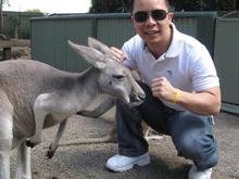 No animals were harmed during this photo. Sydney, Australia.
