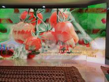For some reason it moves to pictures of fruits