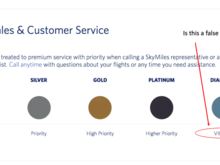 Diamond Medallion members receive access to a "VIP Line." https://www.delta.com/us/en/skymiles/medallion-program/medallion-benefits 