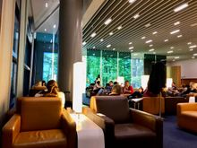 Relaxing forest wall at Senator