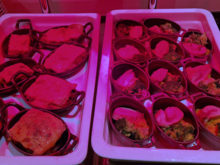 The heat lamp throws the colour of the hot dishes off a bit, but they tasted great and smelled fantastic: lasagne on the left, and broccoli with cheese and roast meat on the right.