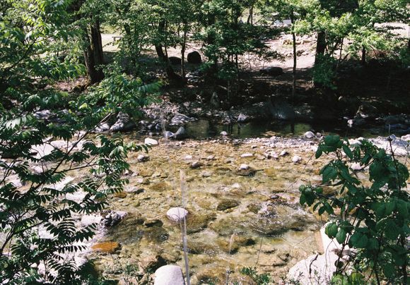Stream on hotel grounds