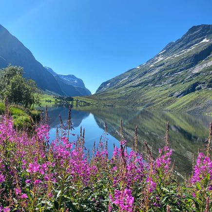 On the way to Geiranger 
