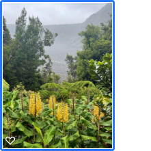 There are several popular  hikes, one of which is Kilauea Iki, which leads  into a crater that erupted in 1959.  Hiking down about 400 feet, you then cross the solidified lava lake and up the other side.  Prepare for all types of weather, and take water.  
