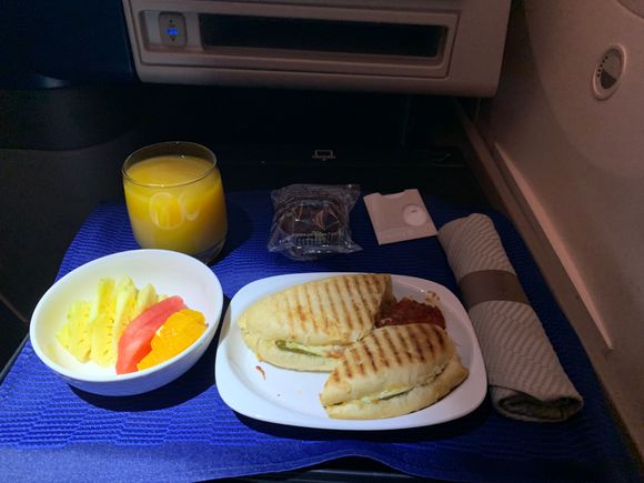 Veggie panini, fruits and a chocolate muffin