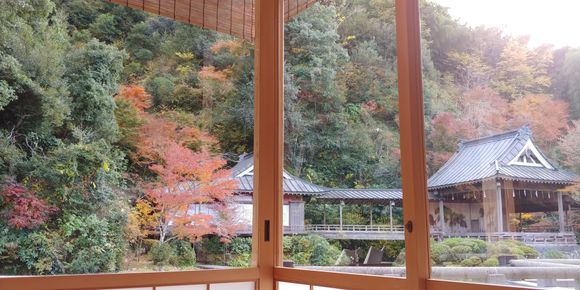 view from lounge
