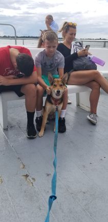 Boston BoatDo scratches are the BEST!