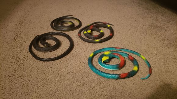 Clockwise from the top: Two-tone, Dot, Green, and Black