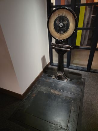 Scale at the gym