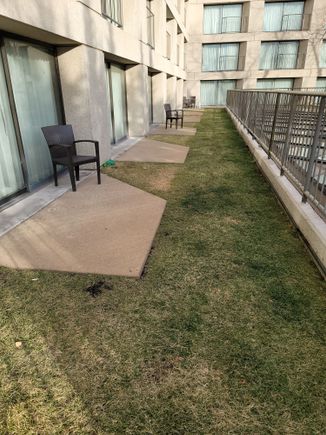 Grass area outside room
