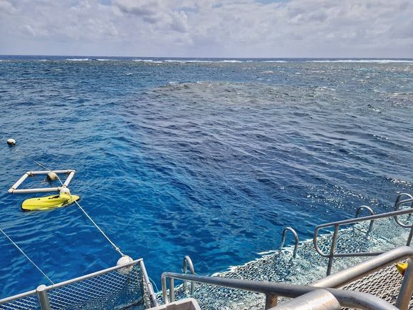 Moore reef