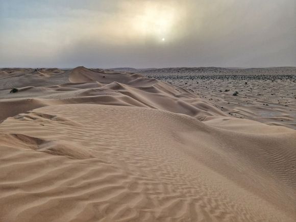 Sandstorm is coming 