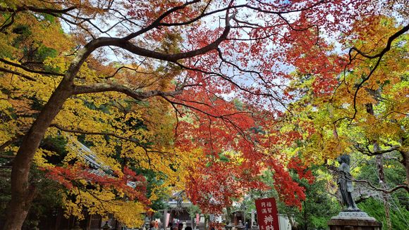 Around the Ryonaji temple area