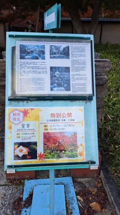 There was a sign pointing to a walled garden inside the japanese garden suggesting a tea ceremony in one of the tea houses and autumn colours during november ( until 30th Nov). Entry to the garden was free so went in
