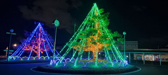 Illuminated trees by the bus stop from Nabana no sato at Nagashima railway station