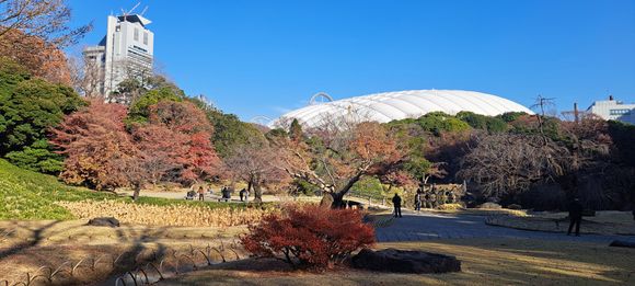 The koishikawa korakoen garden facing the tokyo dome roof