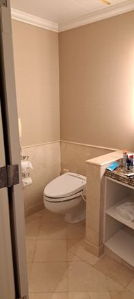Toilet and part of the vanity sink in the bathroom