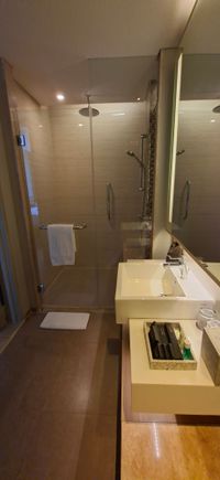 Suite bathroom 