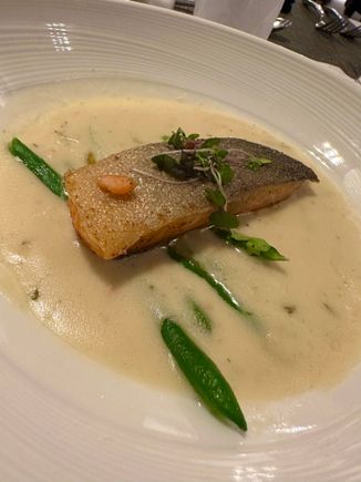 Arctic Char 
