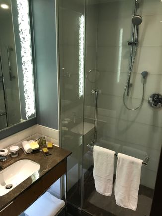 This room had a handheld and rainforest shower