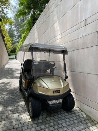 Electric buggy