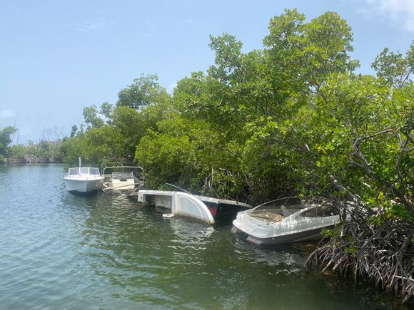 Some of these boats have seen better days