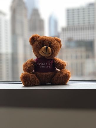 Got this little guy checking in today at the Conrad Chicago. I did ask the concierge in advance and he had it in my room already. TGIF!!