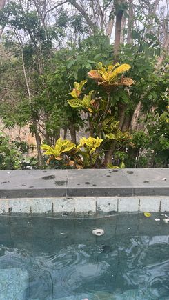 View from Jacuzzi 