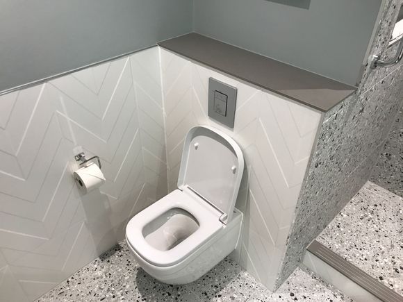 Toilet without bidet hose