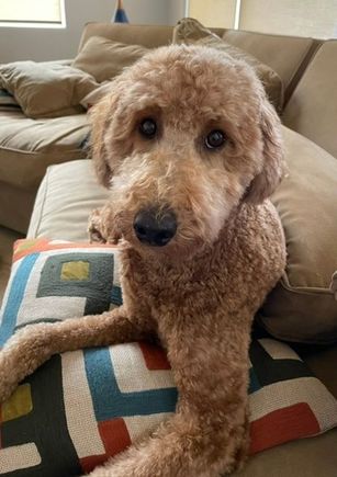 Back from the spa!