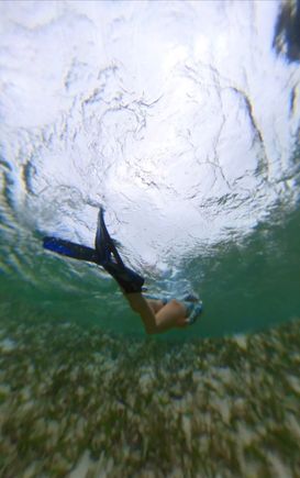 reef life!
