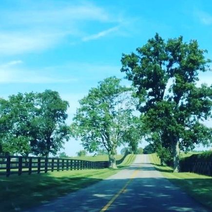 Here’s a nice local scene outside LEX I though folks might like. It really does look like this all over. 