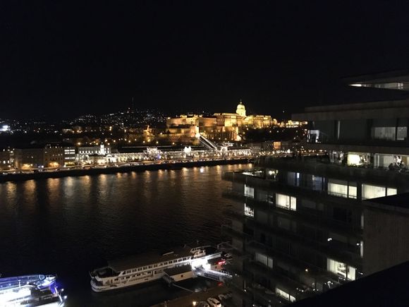 View of the Danube from the lounge.