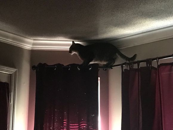 Fred being Fred