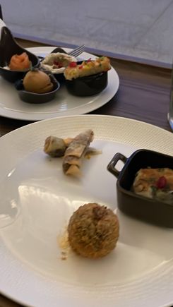 Cocktail Hour - Day 2 - Canapés - cold on the left, hot on the right 